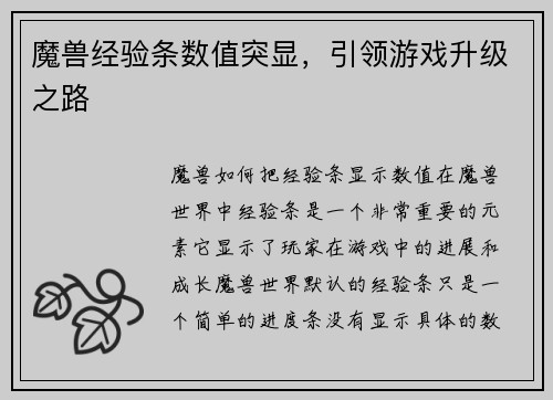 魔兽经验条数值突显，引领游戏升级之路